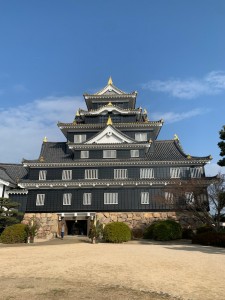 IMG_5247